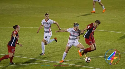 Lucas Chevalier à la tête du onze de Ligue 1 exclu de la Coupe du Monde