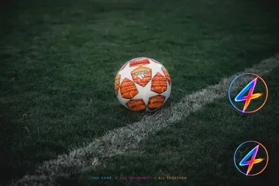 Elye Wahi quitte Nice pour la Coupe du Monde, la Côte d'Ivoire peut être parmi les favoris du tournoi