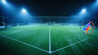 Broos refuse l'offre de l'Afrique du Sud, SAFA cherche un entraîneur